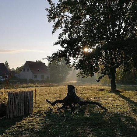 Ferienwohnung&Campingplatz VOR DEM BERG Heideblick Exterior foto