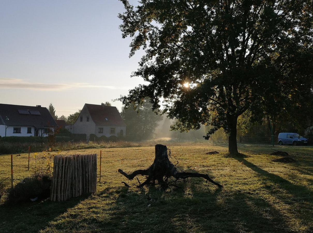 Ferienwohnung&Campingplatz VOR DEM BERG Heideblick Exterior foto