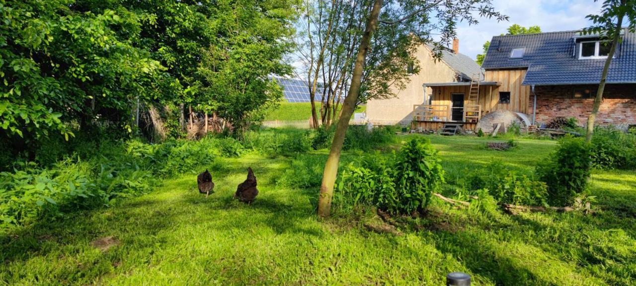 Ferienwohnung&Campingplatz VOR DEM BERG Heideblick Exterior foto