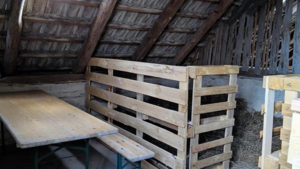 Ferienwohnung&Campingplatz VOR DEM BERG Heideblick Exterior foto